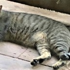 A Tolerance Lesson on the Porch!