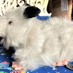 Thoughts on Sharing vs Business